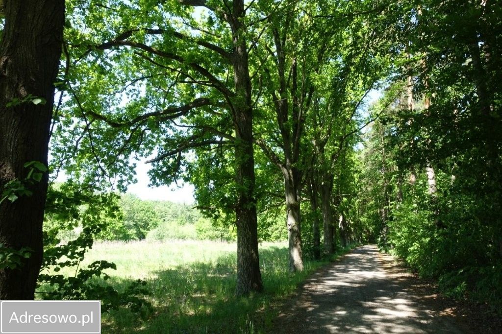 Działka budowlana Kwidzyn, ul. Zamiejska. Zdjęcie 4