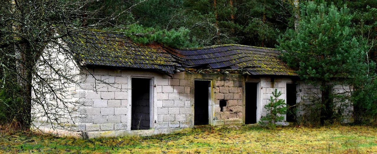 Działka leśna Turna Duża. Zdjęcie 10
