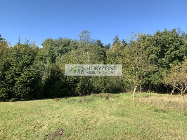 Działka inwestycyjna Babidół. Zdjęcie 2