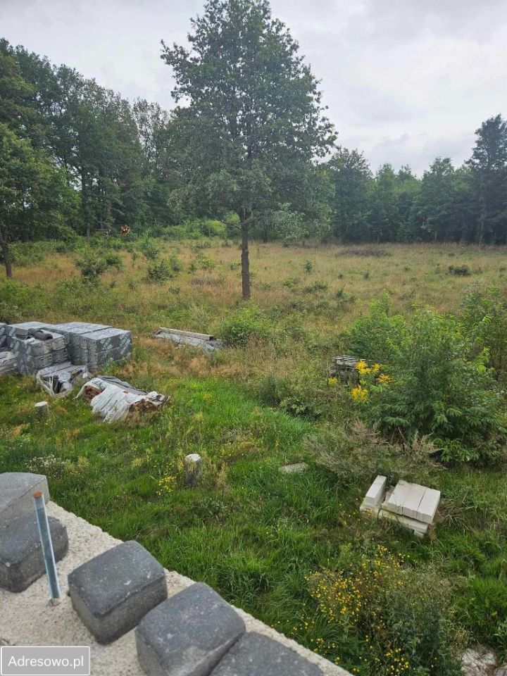Działka Lipinki Łużyckie. Zdjęcie 6