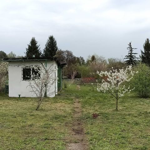 Działka rod Wrocław Żerniki, ul. Szczecińska. Zdjęcie 1