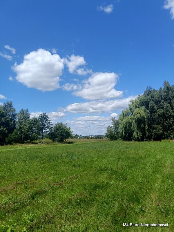 Działka Świerzowa Polska. Zdjęcie 5