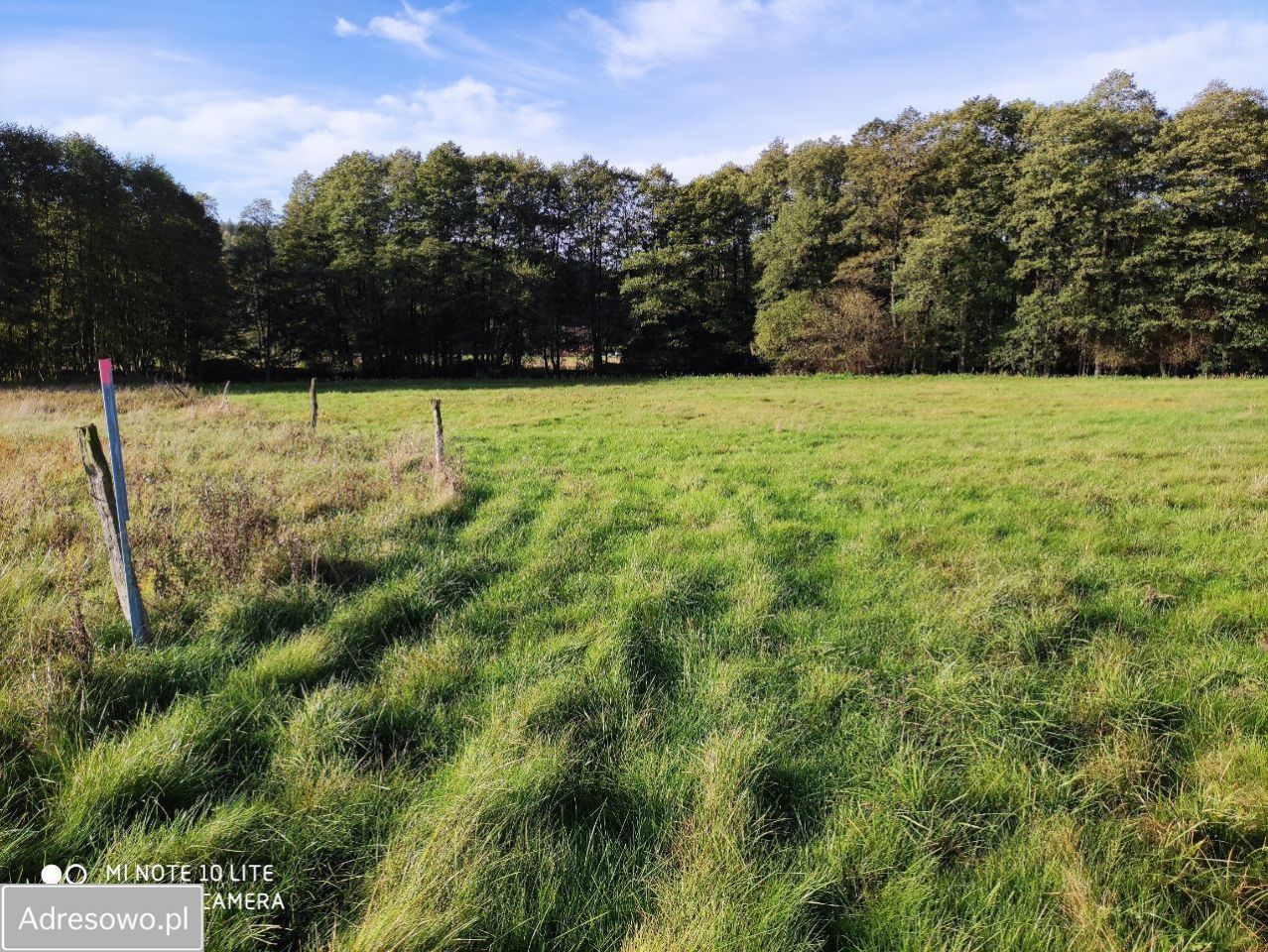 Działka rolno-budowlana Wiewiórowo. Zdjęcie 10