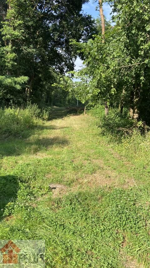 Działka rolno-budowlana Czernichów. Zdjęcie 6