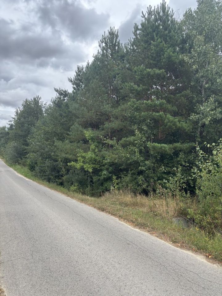 Działka budowlana Wola Łagowska. Zdjęcie 5