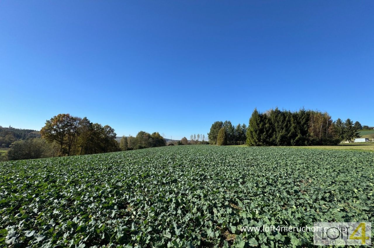 Działka budowlana Tuchów, ul. Ryglicka. Zdjęcie 13