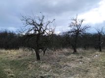 Działka rolno-budowlana Nadbrzeż. Zdjęcie 4
