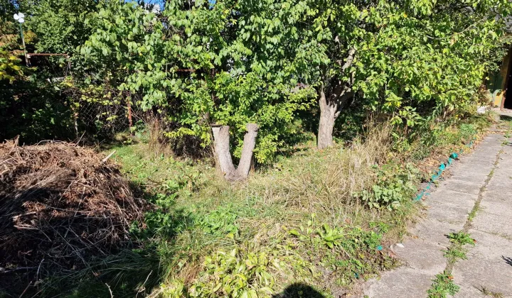 Działka rod Wołomin