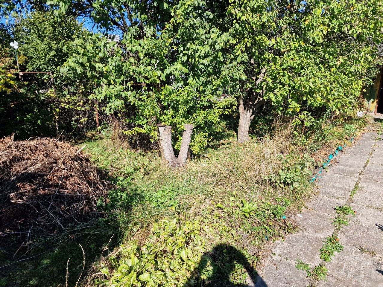 Działka rod Wołomin. Zdjęcie 1