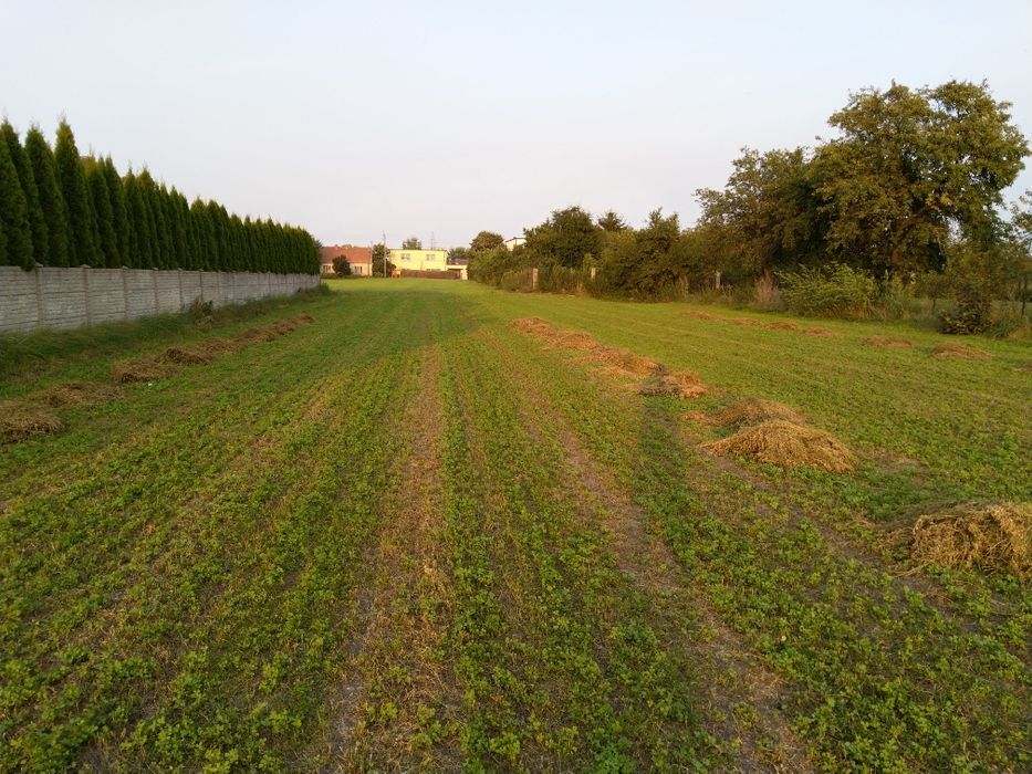 Działka rolno-budowlana Inowrocław Szymborze, ul. Wiktora Spornego