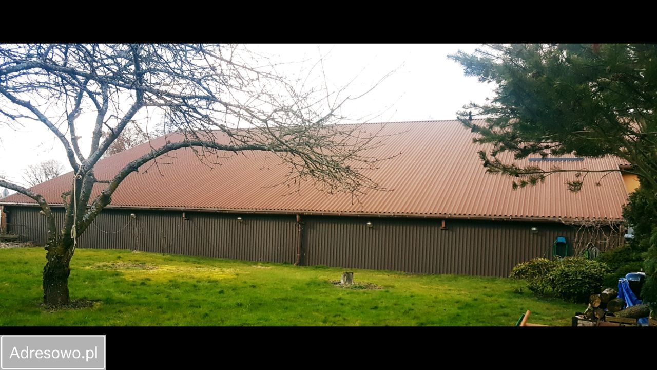 Lokal Białogard. Zdjęcie 6