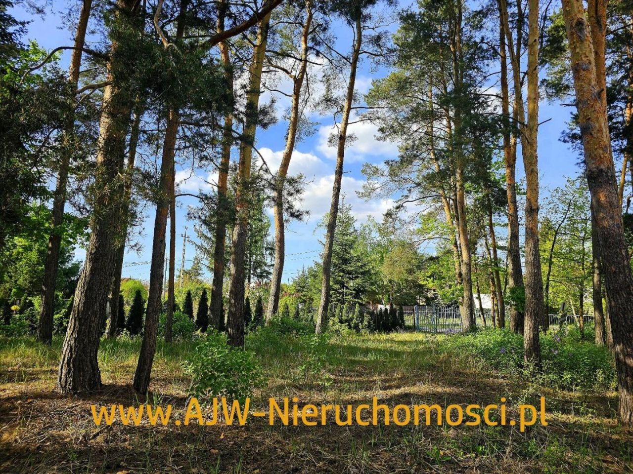 Działka budowlana Laski. Zdjęcie 2