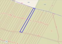 Działka leśna Osiny. Zdjęcie 4