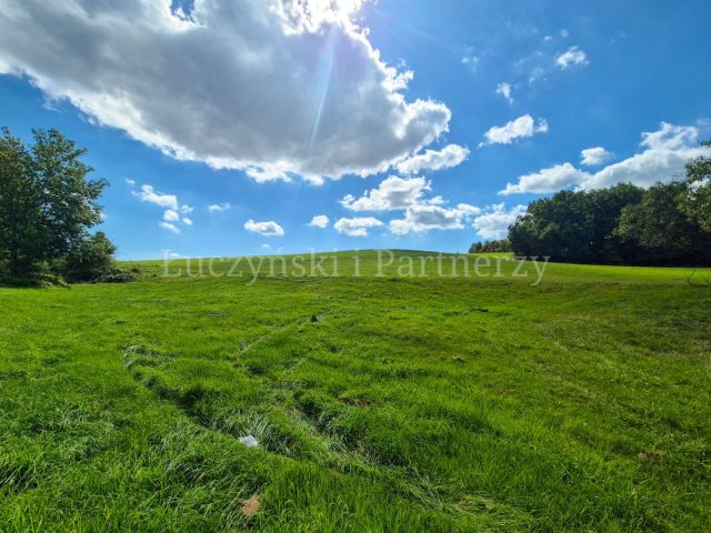 Działka siedliskowa Pławna Górna. Zdjęcie 4