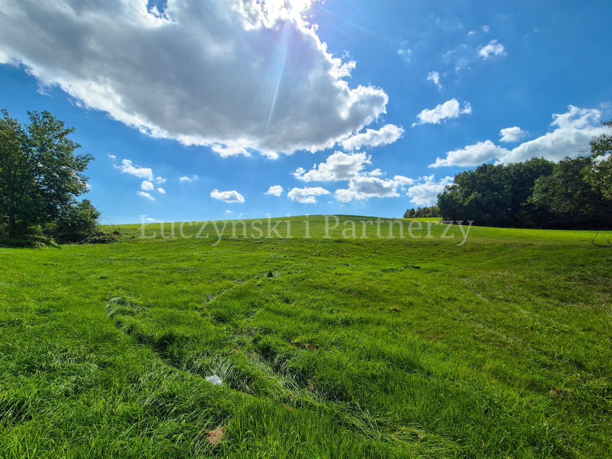 Działka siedliskowa Pławna Górna. Zdjęcie 4