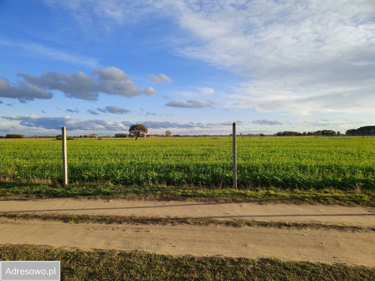 Działka budowlana Piaski. Zdjęcie 3