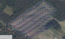 Działka budowlana Ossa. Zdjęcie 2