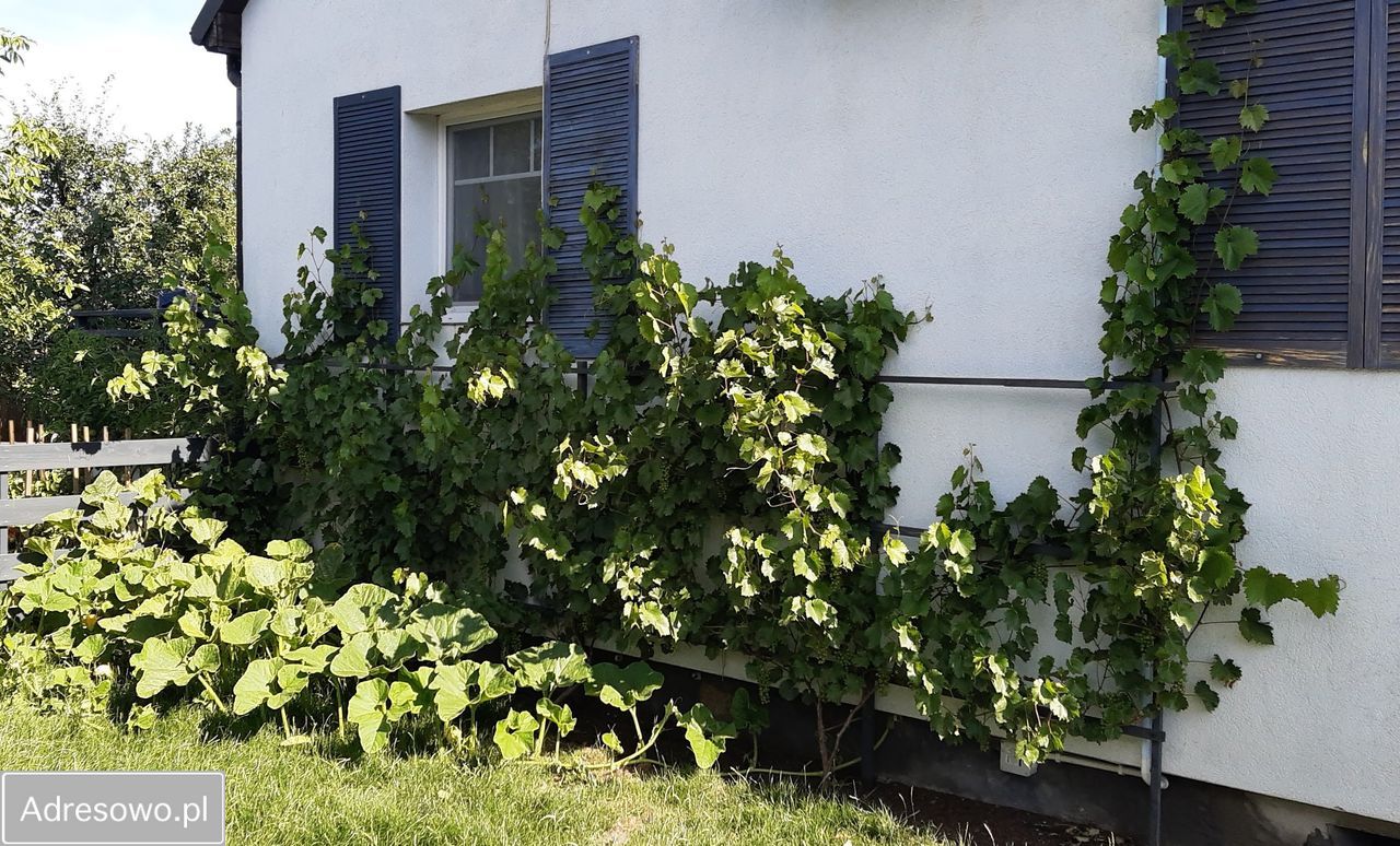 bliźniak, 4 pokoje Owsianka, ul. Wiśniowa. Zdjęcie 10