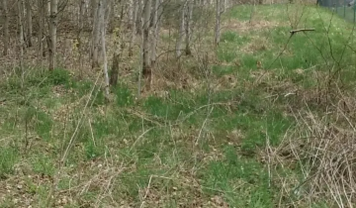 Działka budowlana Wilków