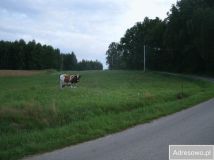 Działka budowlana Łęki Dolne. Zdjęcie 1