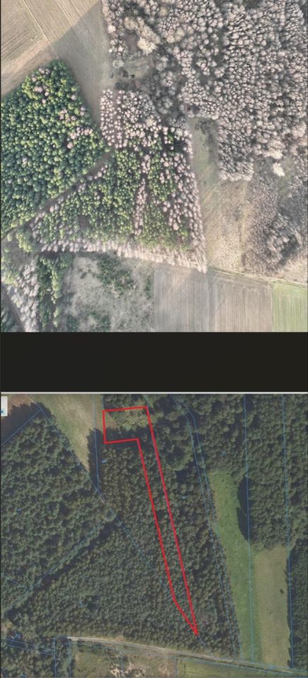 Działka rekreacyjna Lachy. Zdjęcie 2