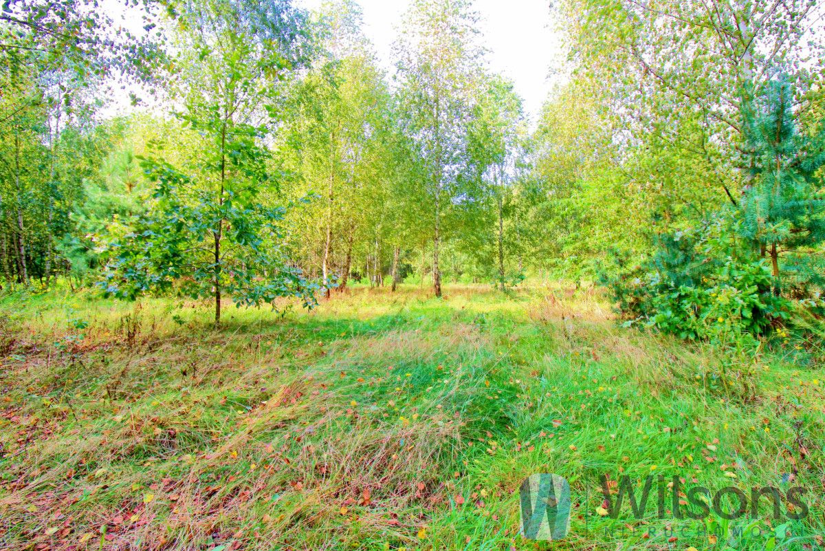 dom wolnostojący, 5 pokoi Ogonowo. Zdjęcie 6