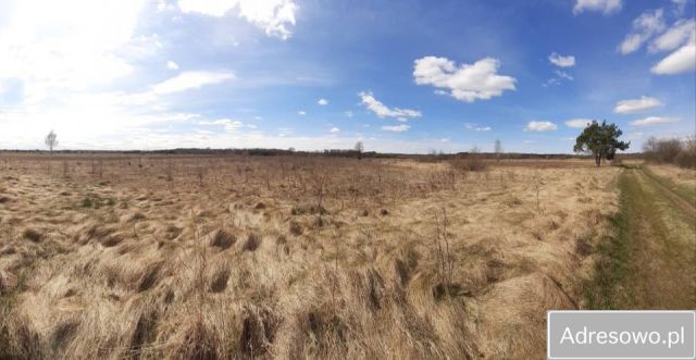 Działka rolna Brzóza. Zdjęcie 1