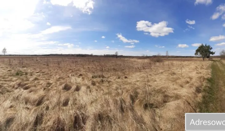 Działka rolna Brzóza