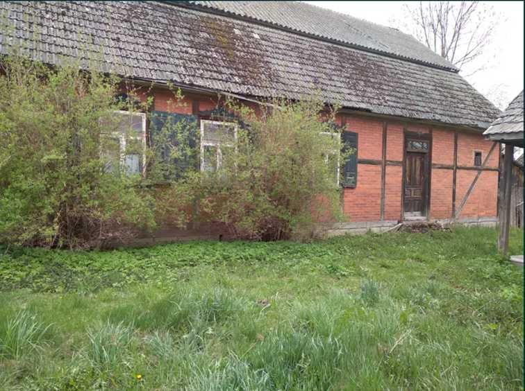 Działka siedliskowa Wyryki-Adampol. Zdjęcie 2