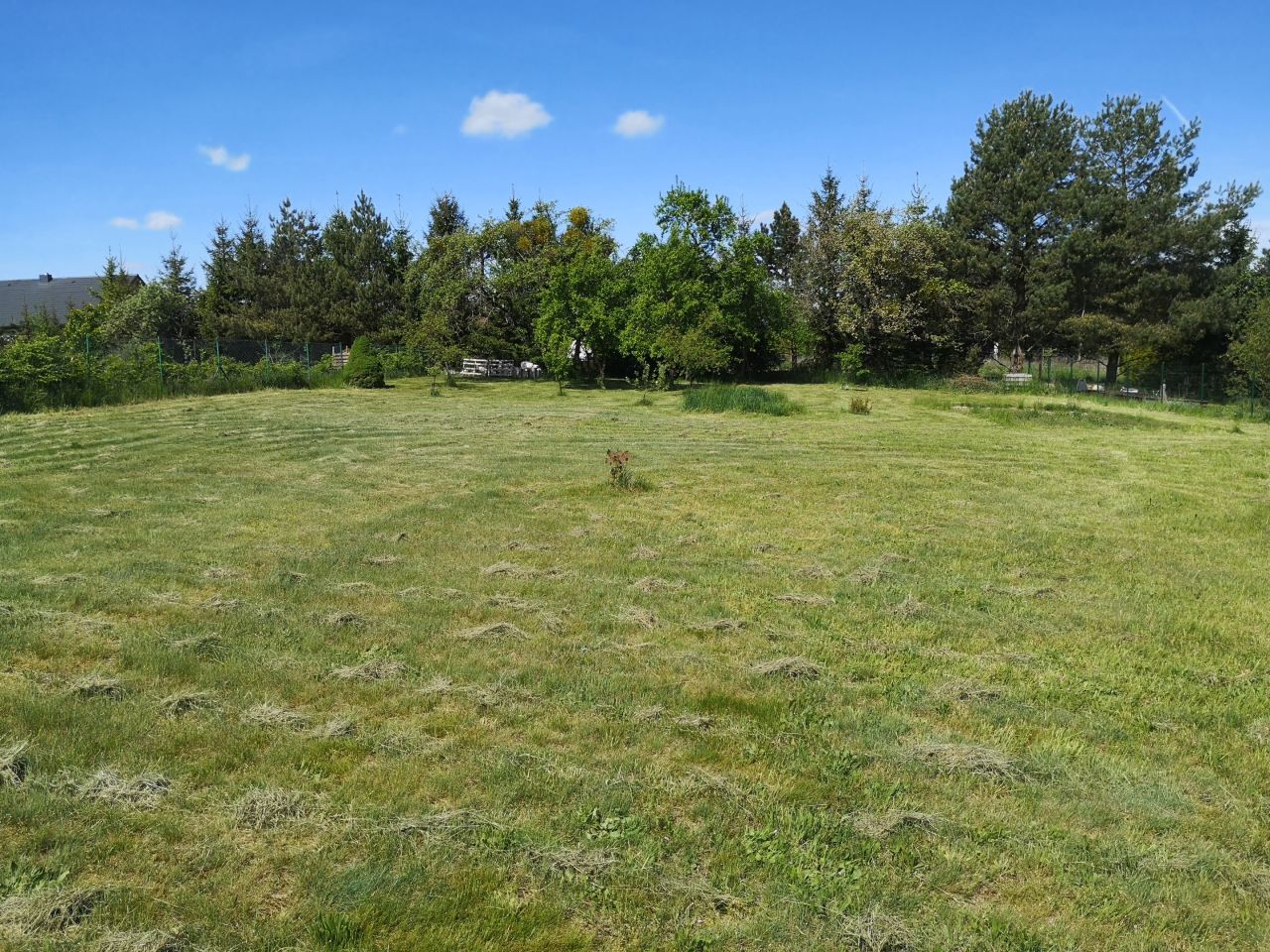 Działka rolna Banie