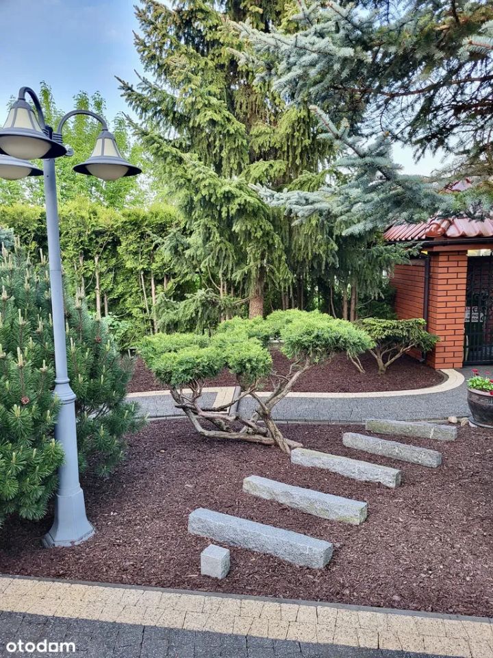 dom wolnostojący, 6 pokoi Nowe Boryszewo. Zdjęcie 7