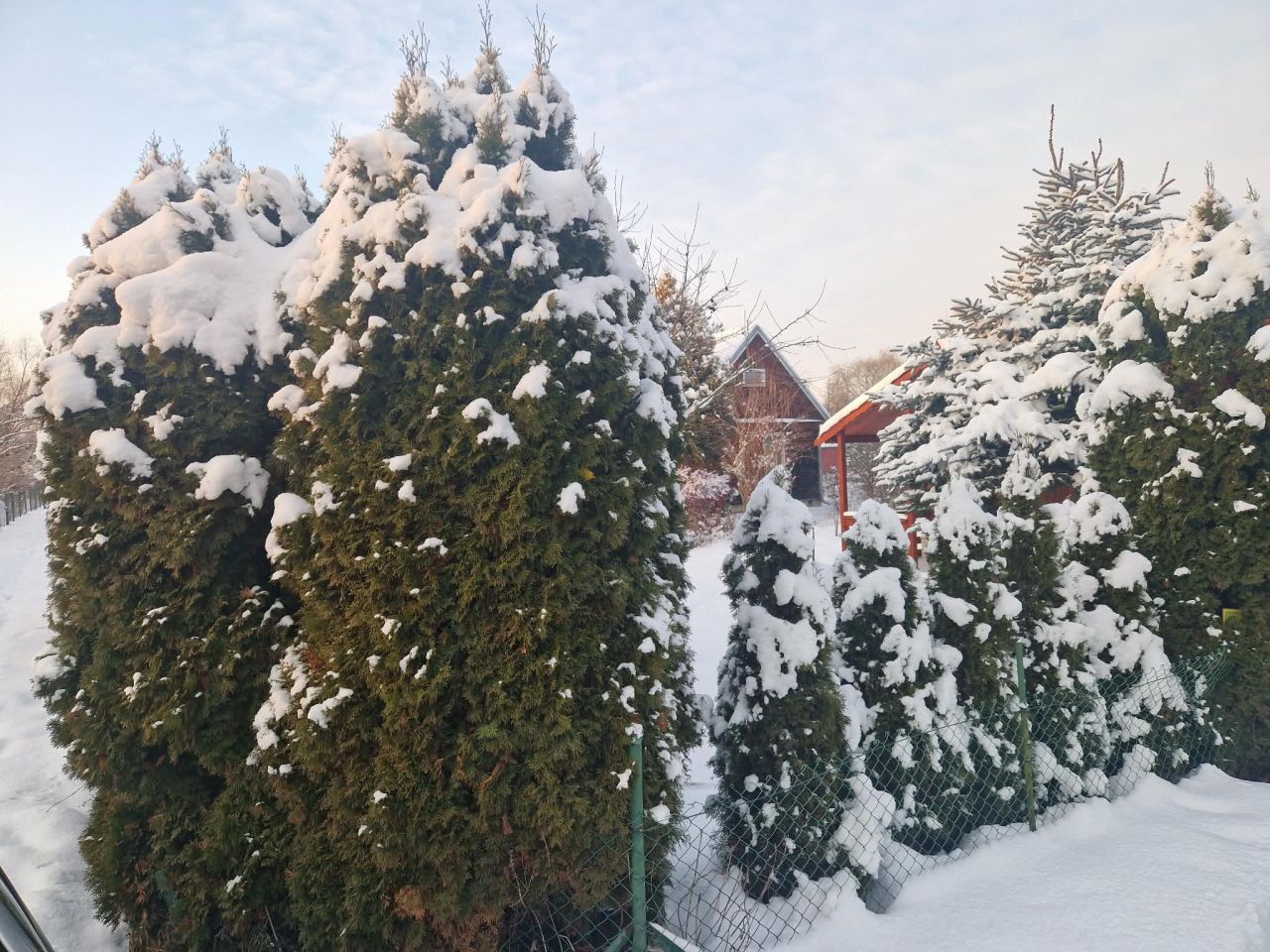 Działka rod Granica, ul. Barbary. Zdjęcie 8