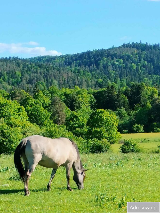 Działka budowlana Leszczyny. Zdjęcie 7