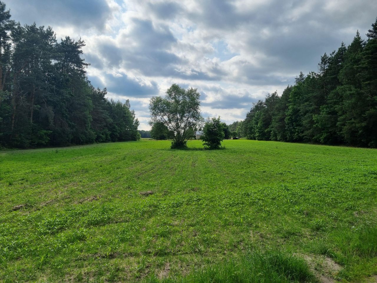 Działka budowlana Jabłonów. Zdjęcie 6