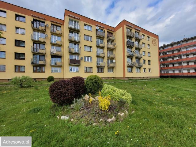 Mieszkanie 1-pokojowe Bytom Stroszek, ul. Strzelców Bytomskich. Zdjęcie 1