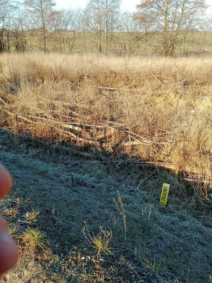 Działka budowlana Jedwabne. Zdjęcie 7