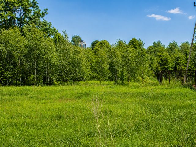 Działka inwestycyjna Wiewiórczyn, ul. Wincentego Witosa. Zdjęcie 1