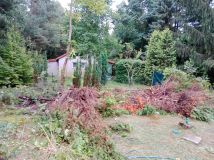 Działka rod Szczaki. Zdjęcie 2