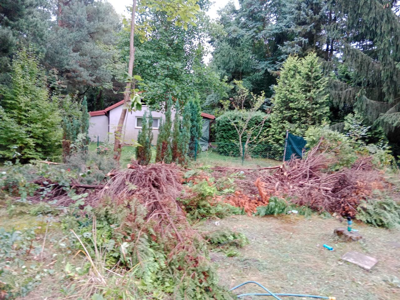 Działka rod Szczaki. Zdjęcie 3