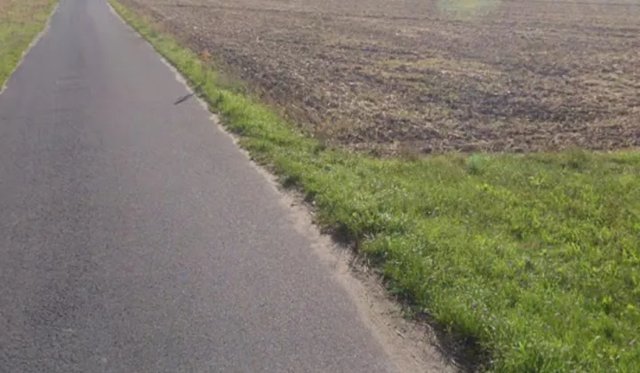 Działka rolno-budowlana Leonia