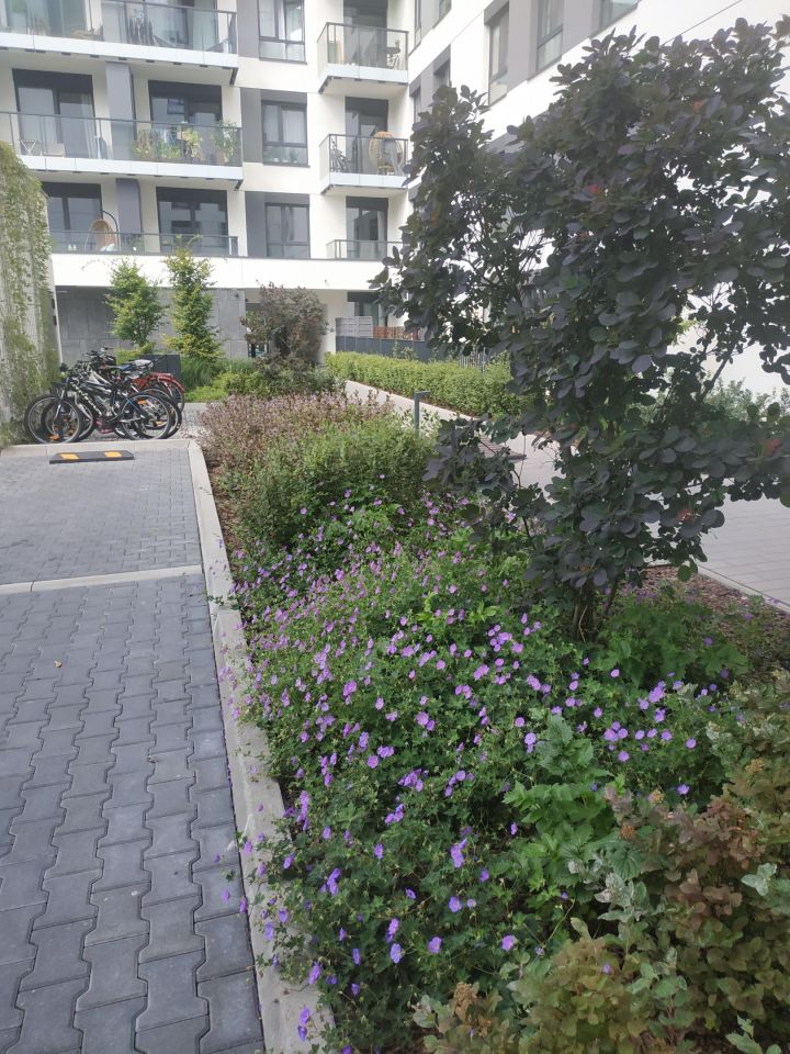 Mieszkanie 4-pokojowe Warszawa Mokotów, ul. Bokserska. Zdjęcie 9