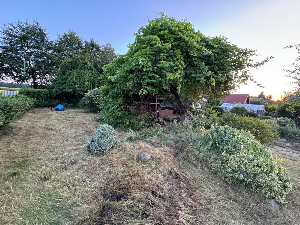 Działka rod Zduńska Wola. Zdjęcie 4