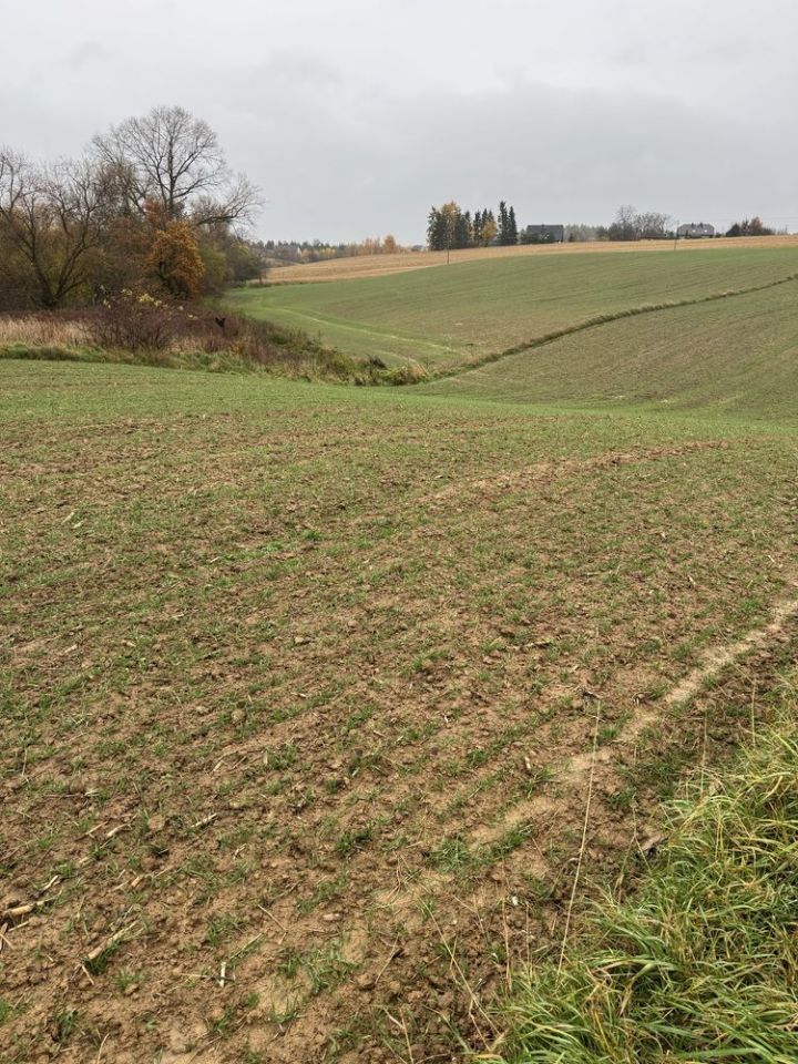Działka rolna Stary Krasieniec. Zdjęcie 8