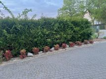 dom wolnostojący, 4 pokoje Liszyno, ul. Miętowa. Zdjęcie 3