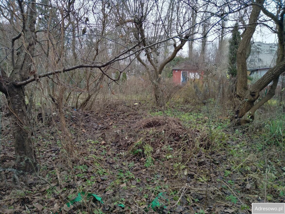 Działka rod Warszawa Koło. Zdjęcie 2