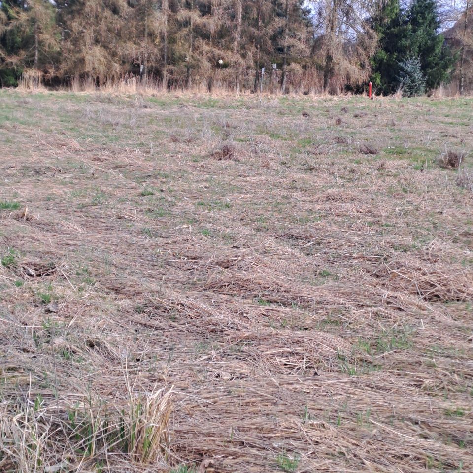 Działka budowlana Mała Wieś Dolna. Zdjęcie 11