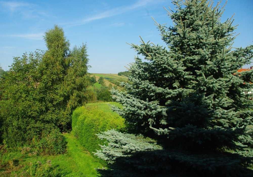 dom wolnostojący Maszków, ul. Kolonia. Zdjęcie 5