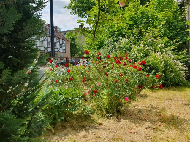 Działka budowlana Gdańsk Wrzeszcz, ul. Jaśkowa Dolina. Zdjęcie 14