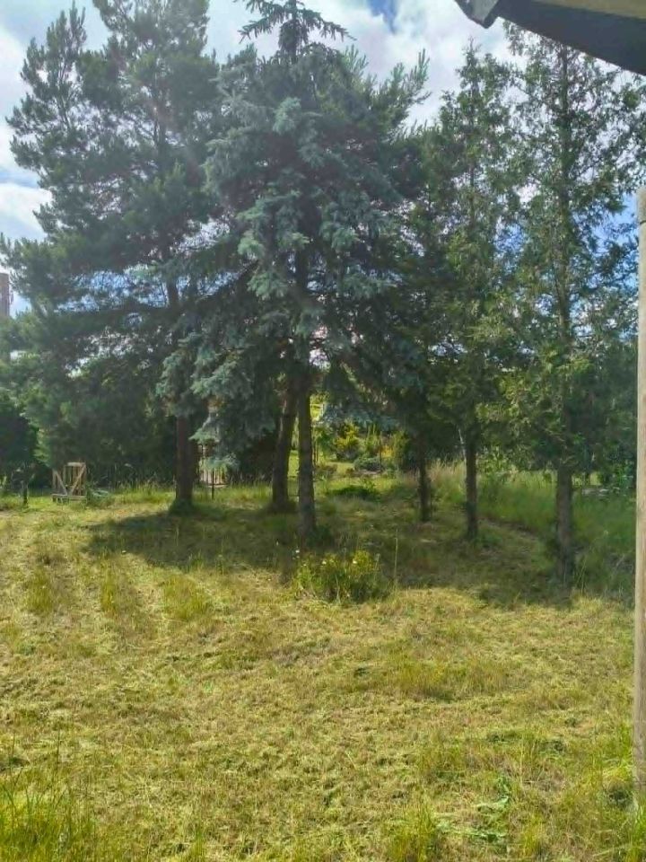 Działka rod Łódź Widzew, ul. Krokusowa. Zdjęcie 5