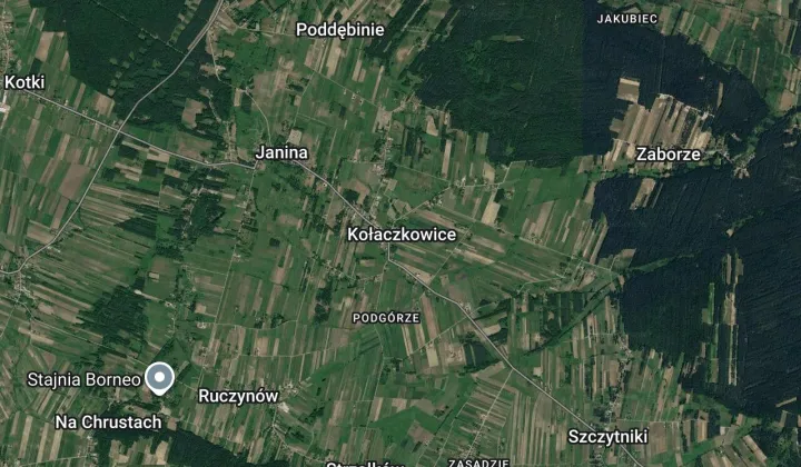 Działka leśna Kołaczkowice